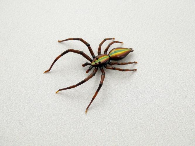 Spider/Red by Michael Mangiafico