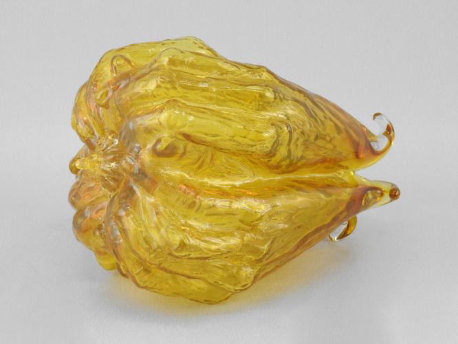Serotiny Seed Pod/Amber by Clifton Crofford