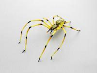 Spider/Yellow by Michael Mangiafico
