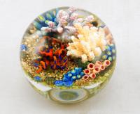 Paperweight/Blue Ringed Octopus II by Cathy Richardson