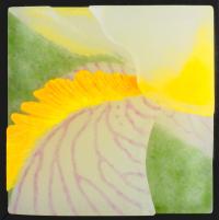 Botanica Erotica #17 Iris by 