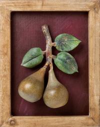 Sprigs #9, Pears w/Green Leaves by Kathleen Elliot
