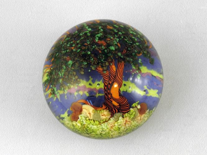 Paperweight/Bristlecone Pine Tree by Cathy Richardson