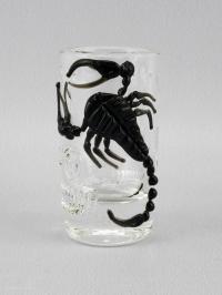 Shot Glass/Scorpion by Joshua, Eli & Tim Mazet