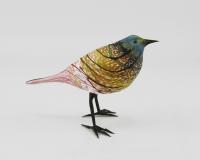 Bird/Rainbow Warbler by Shane Fero