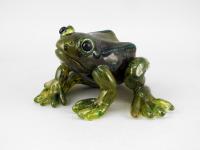 Karma (the Frog) by Mariel Bass