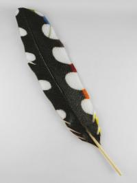Woodpecker Feather by Michael Dupille