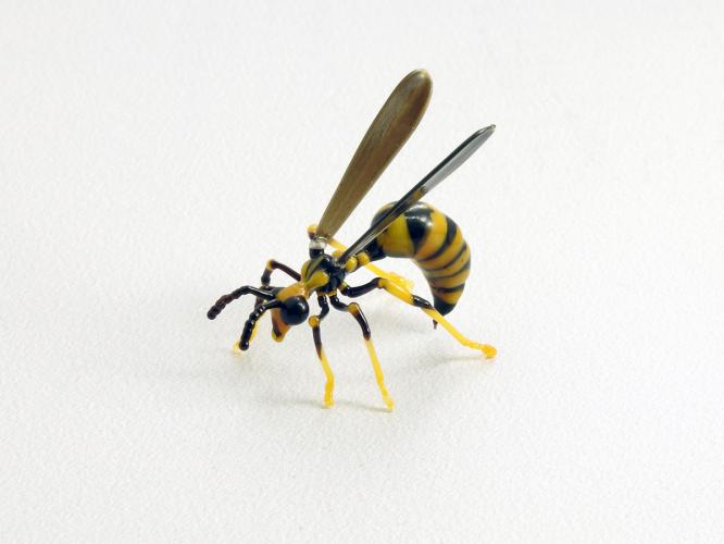 Wasp by Michael Mangiafico