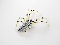 Spider/Beige by Michael Mangiafico