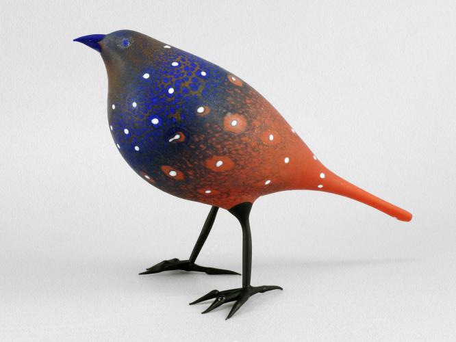 Spotted Red & Lapis Finch by Shane Fero