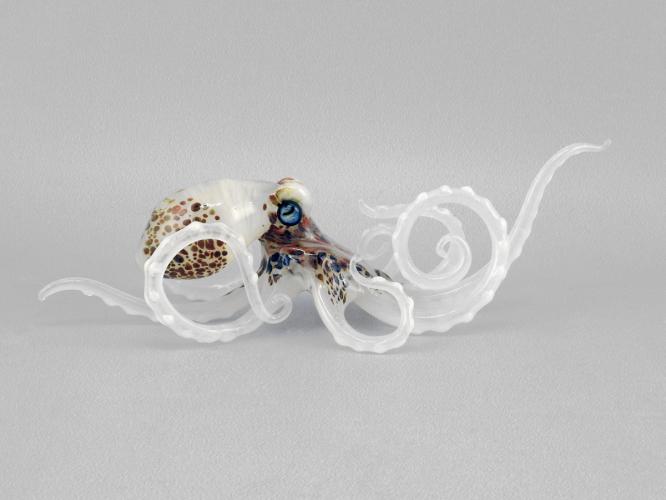 Octopus/White by Jennifer Caldwell & Jason Chakravarty