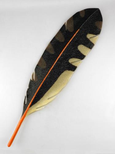 Northern Flicker Feather #2 by Michael Dupille