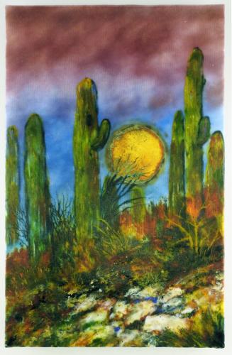 Saguaro Moon by Anne Nye