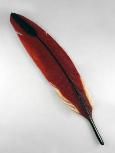 Cardinal Feather by Michael Dupille