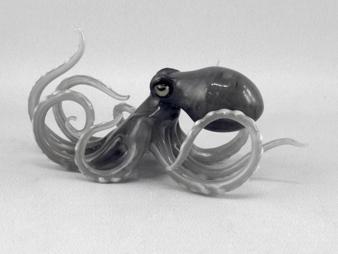 Octopus/Grey by Jennifer Caldwell & Jason Chakravarty