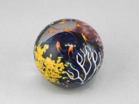 Paperweight/Coral Reef by Cathy Richardson