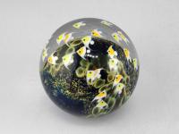 Paperweight/School of Angel Fish by Cathy Richardson