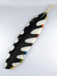 Woodpecker Feather by Michael Dupille