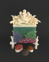 Reliquary for a Coral Reef by 