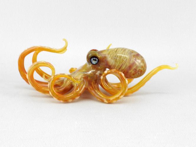Octopus/Amber by Jennifer Caldwell & Jason Chakravarty