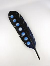 Lunar Phase Feather by Michael Dupille